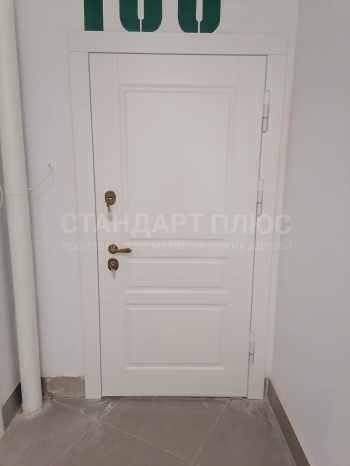 Фото двери №20