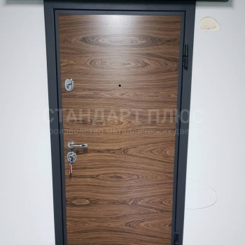 Фото двери №4